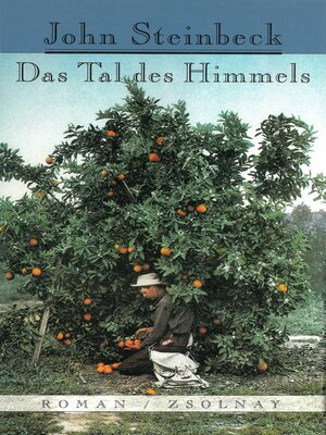 cover image of Das Tal des Himmels
